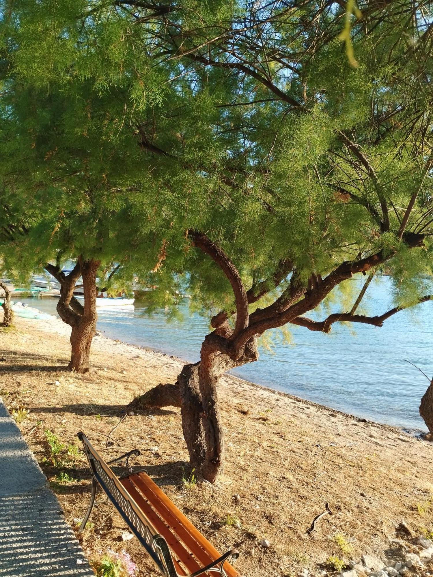 Appartamento Kreso I Niko Grebaštica Esterno foto