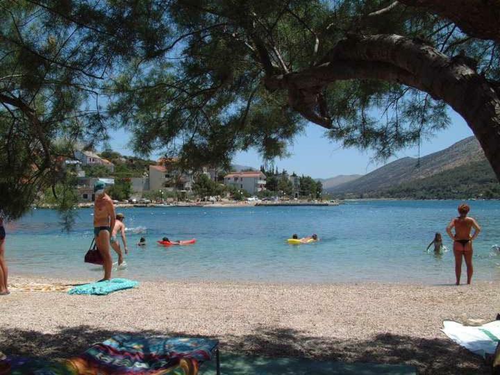Appartamento Kreso I Niko Grebaštica Esterno foto